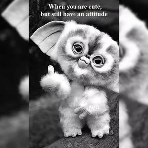 Meet your Posher, Skye